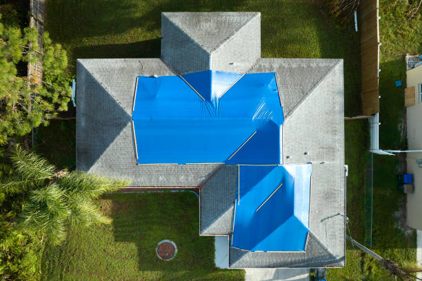 Best Roof Maintenance and Cleaning  in Ocean City, NJ
